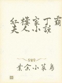 红楼家丁霸占王夫人小说