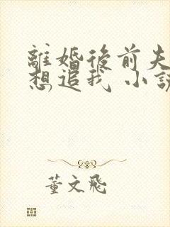 离婚后前夫总是想追我 小说封面