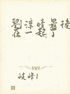 刘淳晴最后和谁在一起了