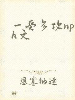 一受多攻np黄h文