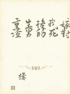 重生后我嫁给了渣男的死对头32章