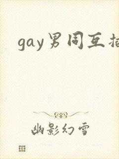 gay男同互插封面