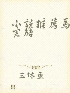 小说推荐马甲文完结