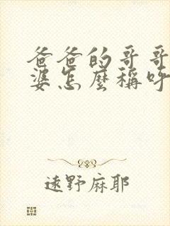 爸爸的哥哥的老婆怎么称呼