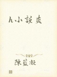 h小说爽封面