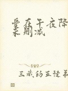 爱在午夜降临前未删减