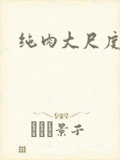 纯肉大尺度小说