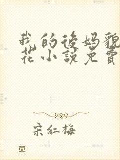 我的后妈貌美如花小说免费阅读封面