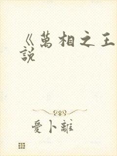 《万相之王》小说封面