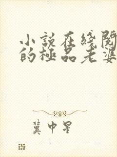 小说在线阅读我的极品老婆