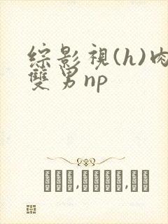 综影视(h)肉双男np封面