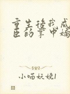 重生后我成了权臣的掌中娇怎么样