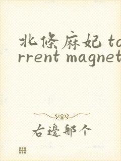 北条麻妃 torrent magnet