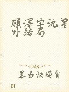 顾泽宇沈星晚番外结局