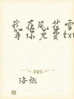 我在风花雪月里等你免费txt下载