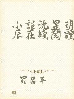 小说沈星玥裴亦辰在线阅读