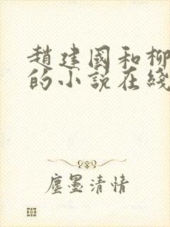 赵建国和柳琳琳的小说在线阅读