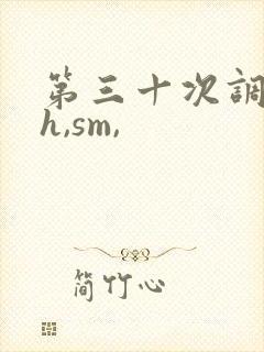 第三十次调教(h,sm,
