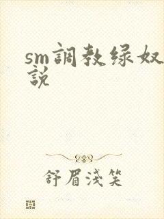 sm调教绿奴小说封面