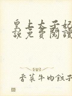 皇上太子妃的小说免费阅读