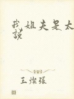 我姐夫是太子小说
