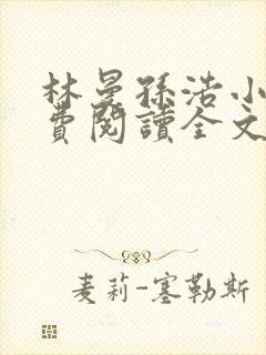 林曼孙浩小说免费阅读全文最新章节