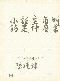 小说主角叫林凡的是什么书