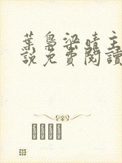 叶枭梁晴主角小说免费阅读