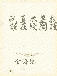 我真不是戏神小说在线阅读封面