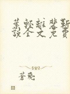 叶轻离裴靳墨小说全文免费阅读