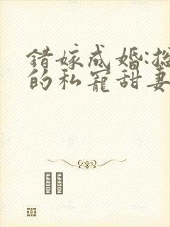 错嫁成婚:总裁的私宠甜妻封面