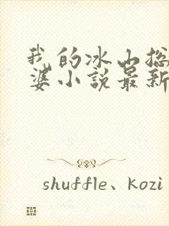 我的冰山总裁老婆小说最新章节