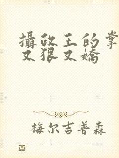 摄政王的掌心宠又狠又娇