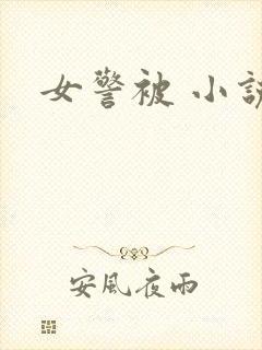 女警被 小说