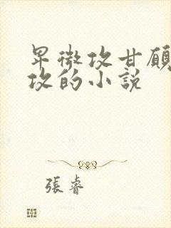 卑微攻甘愿被反攻的小说