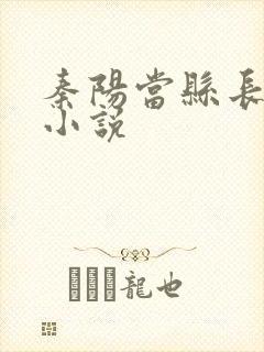 秦阳当县长官场小说