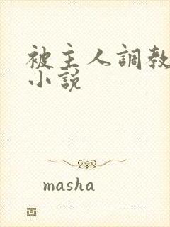 被主人调教sm小说