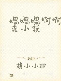 嗯嗯嗯啊啊啊好爽小说