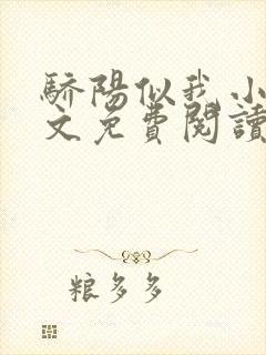 骄阳似我小说全文免费阅读封面