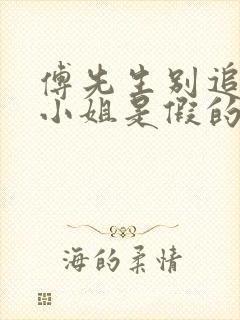 傅先生别追了大小姐是假的完整版