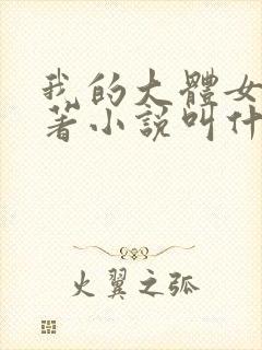 我的大体女友原著小说叫什么