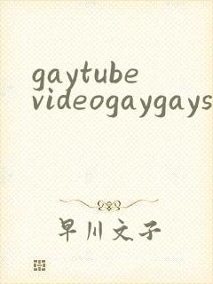 gaytubevideogaygaysex