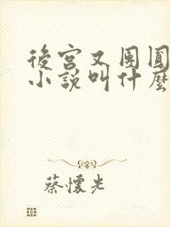 后宫又团圆原著小说叫什么名字