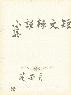 小说辣文短篇合集