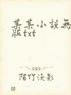 某某小说无删减版txt