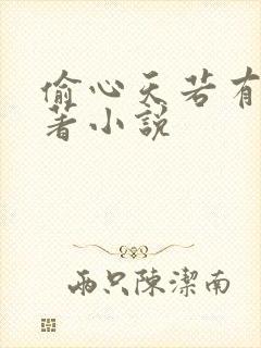 偷心天若有情原著小说