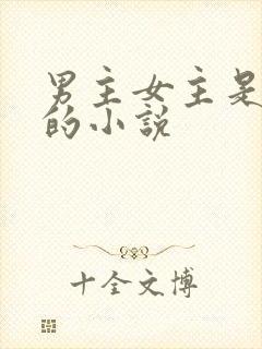 男主女主是军人的小说