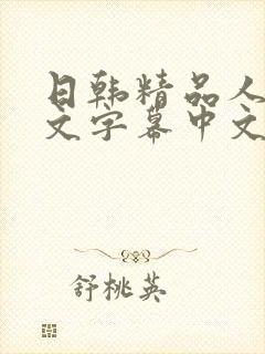 日韩精品人妻中文字幕中文