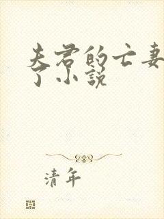 夫君的亡妻回来了小说