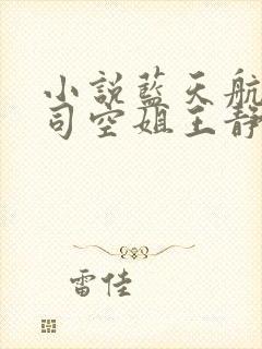 小说蓝天航空公司空姐王静全文阅读封面